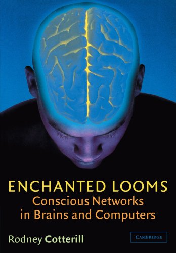 Enchanted Looms Conscious Netorks in Brains and Computers [Paperback]