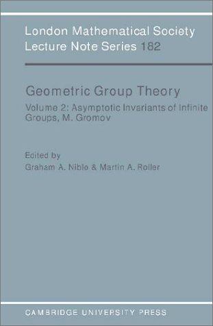 Geometric Group Theory Volume 2 [Paperback]