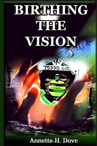 Birthing The Vision [Paperback]