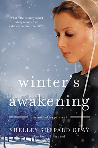 Winter's Awakening: Seasons of Sugarcreek, Book One [Paperback]