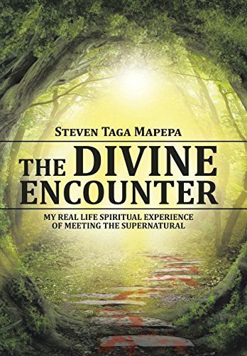 The Divine Encounter My Real Life Spiritual Experience Of Meeting The Supernatu [Hardcover]