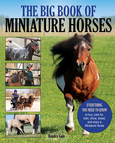 The Big Book of Miniature Horses: Everything You Need to Know to Buy, Care for,  [Paperback]