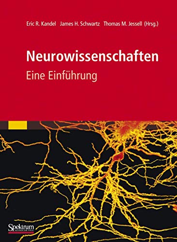 Neurowissenschaften: Eine Einfhrung [Paperback]