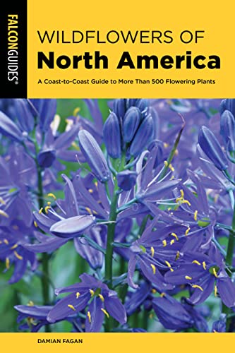 Wildflowers of North America: A Coast-to-Coast Guide to More than 500 Flowering  [Paperback]