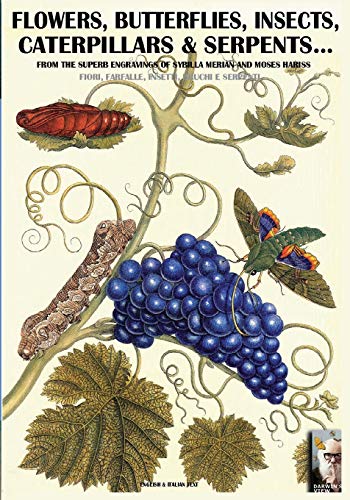 Floers, Butterflies, Insects, Caterpillars & Serpents... From Sybilla Merian & [Paperback]