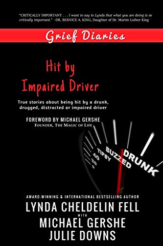 Grief Diaries Hit By Impaired Driver [Paperback]