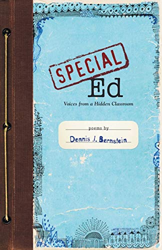 Special Ed Voices from a Hidden Classroom [Paperback]