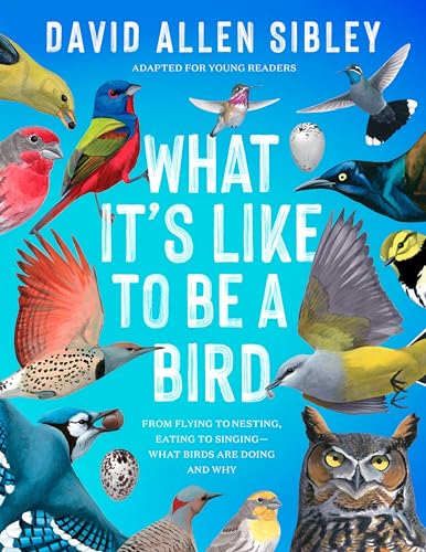 What It's Like to Be a Bird (Adapted for Young Readers): From Flying to Nesting, [Hardcover]