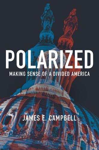 Polarized: Making Sense of a Divided America [Paperback]