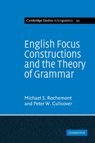 English Focus Constructions and the Theory of Grammar [Paperback]