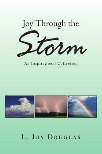 Joy Through the Storm [Paperback]