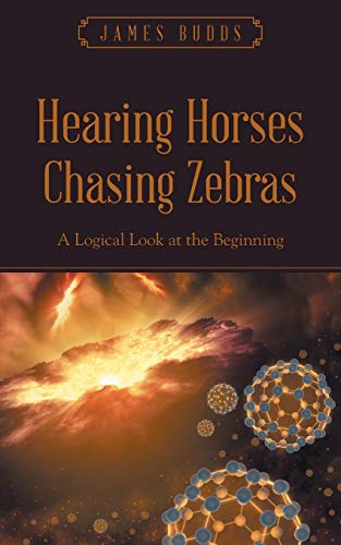 Hearing Horses Chasing Zebras [Paperback]