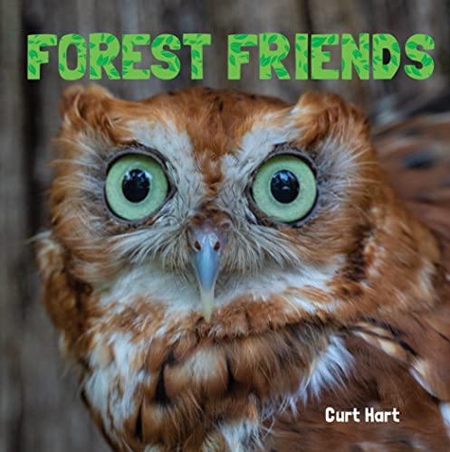 Forest Friends                           [CLOTH               ]