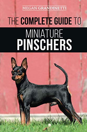 Complete Guide to Miniature Pinschers  Training, Feeding, Socializing, Caring f [Paperback]