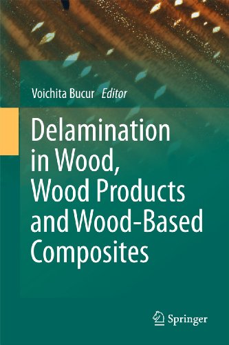 Delamination in Wood, Wood Products and Wood-Based Composites [Hardcover]