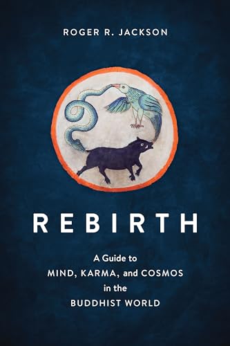 Rebirth: A Guide to Mind, Karma, and Cosmos in the Buddhist World [Paperback]