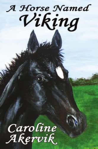 Horse Named Viking [Paperback]