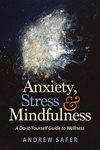 Anxiety, Stress and Mindfulness  A Do-It-Yourself Guide to Wellness [Paperback]