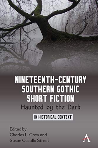 Nineteenth-Century Southern Gothic Short Fiction Haunted by the Dark [Hardcover]