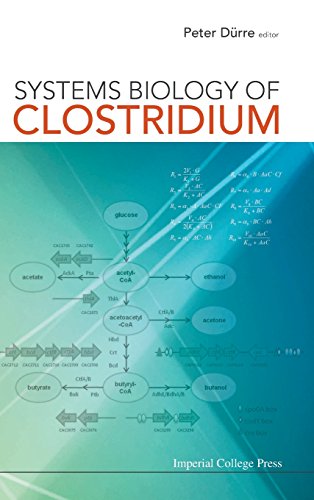 Systems Biology Of Clostridium [Hardcover]