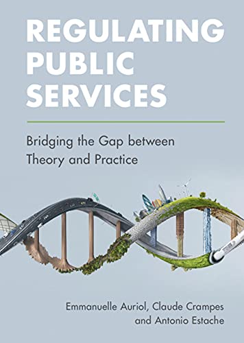 Regulating Public Services Bridging the Gap beteen Theory and Practice [Hardcover]