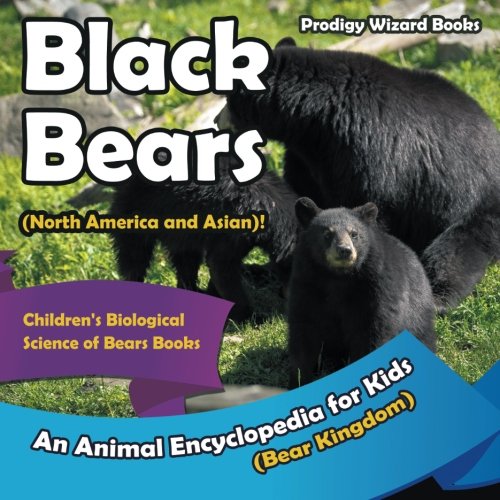 Black Bears (North America and Asian) an Animal Encyclopedia for Kids (Bear Kin [Paperback]