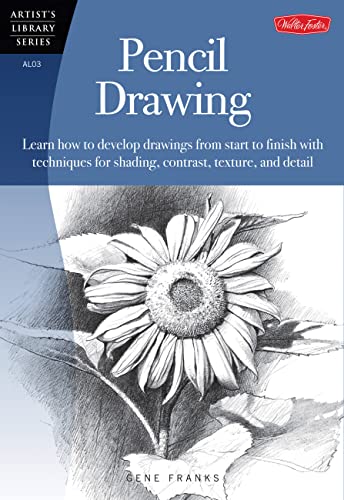 Pencil Drawing: Learn how to develp drawings