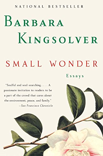 Small Wonder: Essays [Paperback]