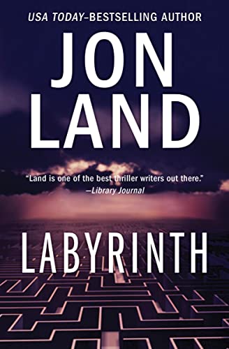 Labyrinth [Paperback]