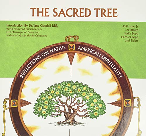 Sacred Tree: Reflections on Native American Spirituality [Paperback]