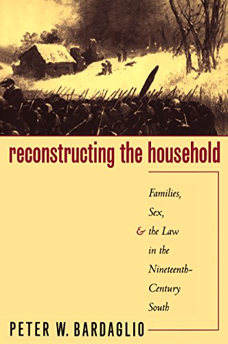 Reconstructing the Household Families, Sex, and the La in the Nineteenth-Centu [Paperback]