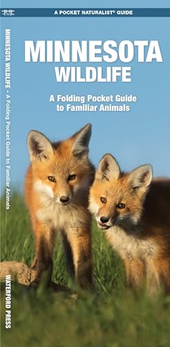 Minnesota Wildlife: A Folding Pocket Guide to Familiar Species [Pamphlet]