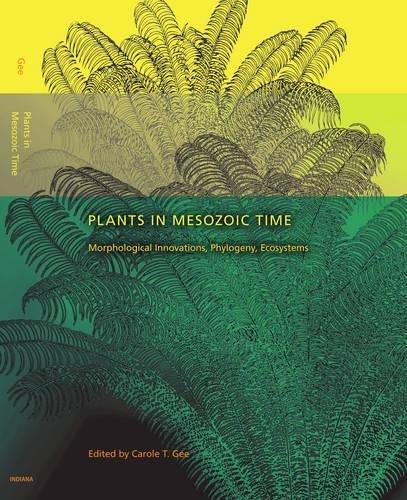 Plants in Mesozoic Time Morphological Innovations, Phylogeny, Ecosystems [Hardcover]