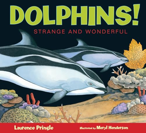 Dolphins! [Hardcover]