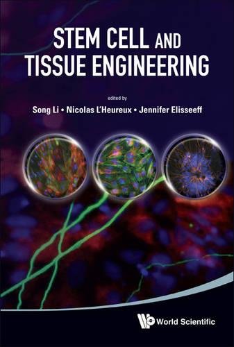 Stem Cell And Tissue Engineering [Hardcover]