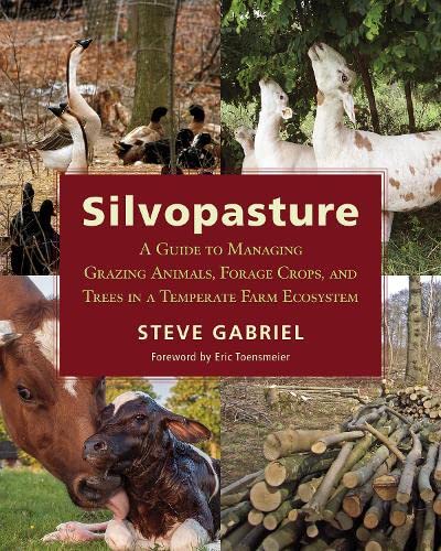 Silvopasture: A Guide To Managing Pasture Ani