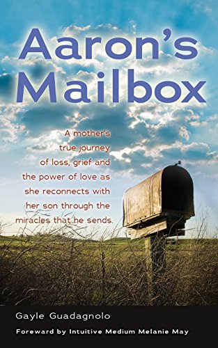 Aaron's Mailbox A Mother's True Journey As She Reconnects With Her Son After Hi [Paperback]