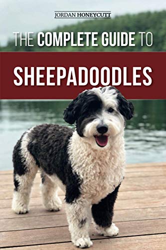 Complete Guide to Sheepadoodles  Finding, Raising, Training, Feeding, Socializi [Paperback]