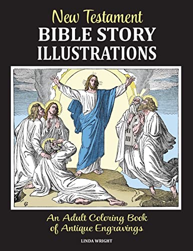 Ne Testament Bible Story Illustrations An Adult Coloring Book Of Antique Engra [Paperback]