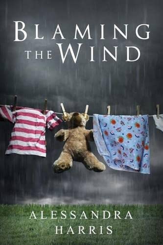 Blaming The Wind [Paperback]