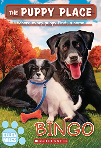 Bingo (The Puppy Place #65) [Paperback]