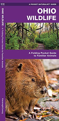 Ohio Wildlife: A Folding Pocket Guide to Familiar Animals [Pamphlet]