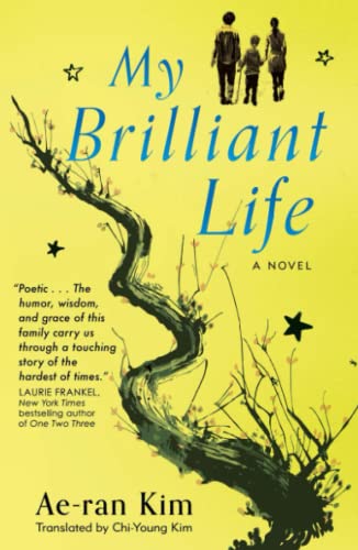 My Brilliant Life [Paperback]