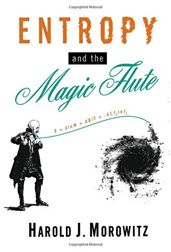 Entropy and the Magic Flute [Hardcover]