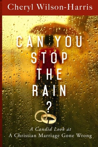 Can You Stop The Rain A Candid Look At A Christian Marriage Gone Wrong [Paperback]