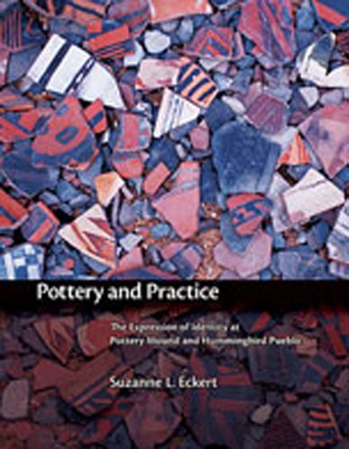 Pottery and Practice : The Expression of Identity at Pottery Mound and Hummingbi [Hardcover]