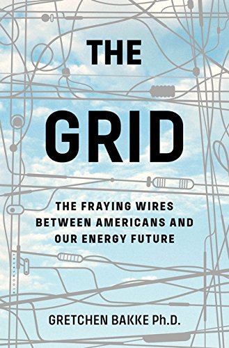 The Grid: The Fraying Wires Between Americans