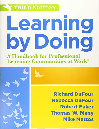 Learning By Doing: A Handbook For Professiona