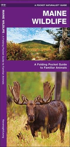 Maine Wildlife: A Folding Pocket Guide to Fam