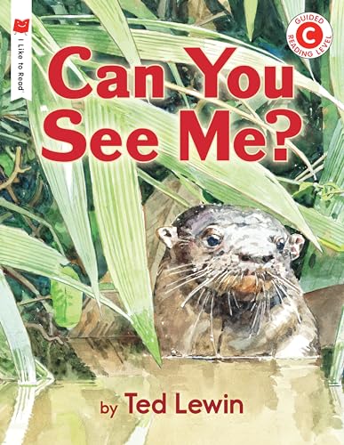 Can You See Me? [Paperback]